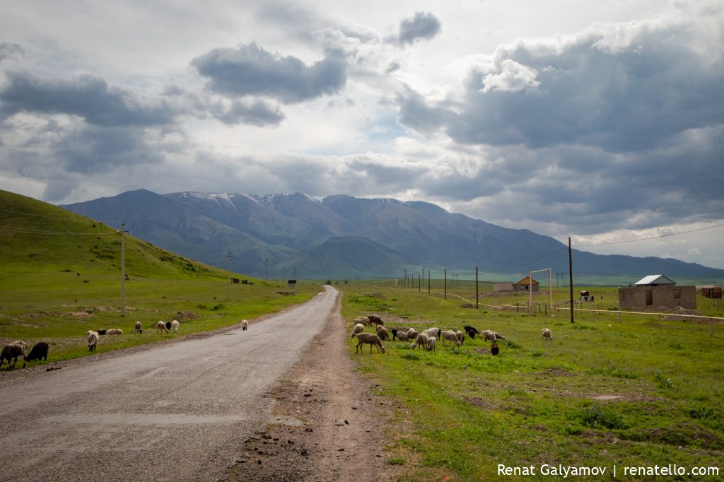 Kazakh Steppe (казахская степь)