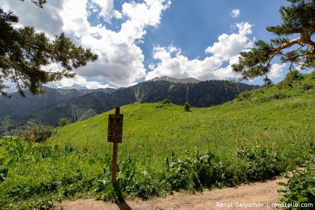 Sign and mountains of Almaty