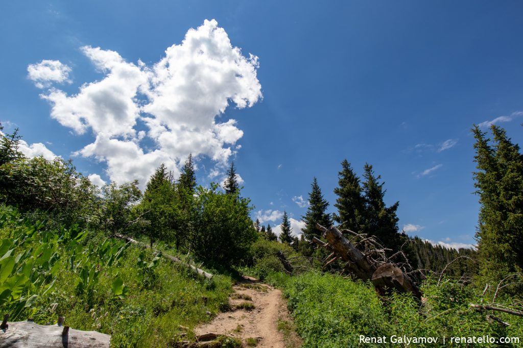 The sky in the mountains of Almaty