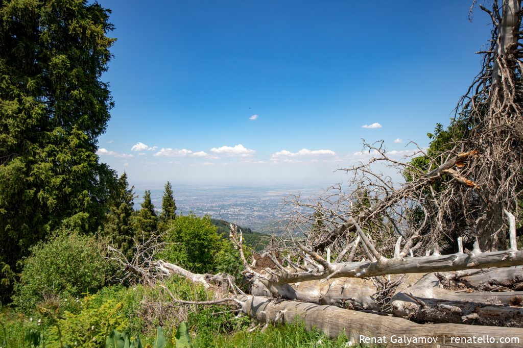 Panorama of Almaty, Kazakhstan from the mountains