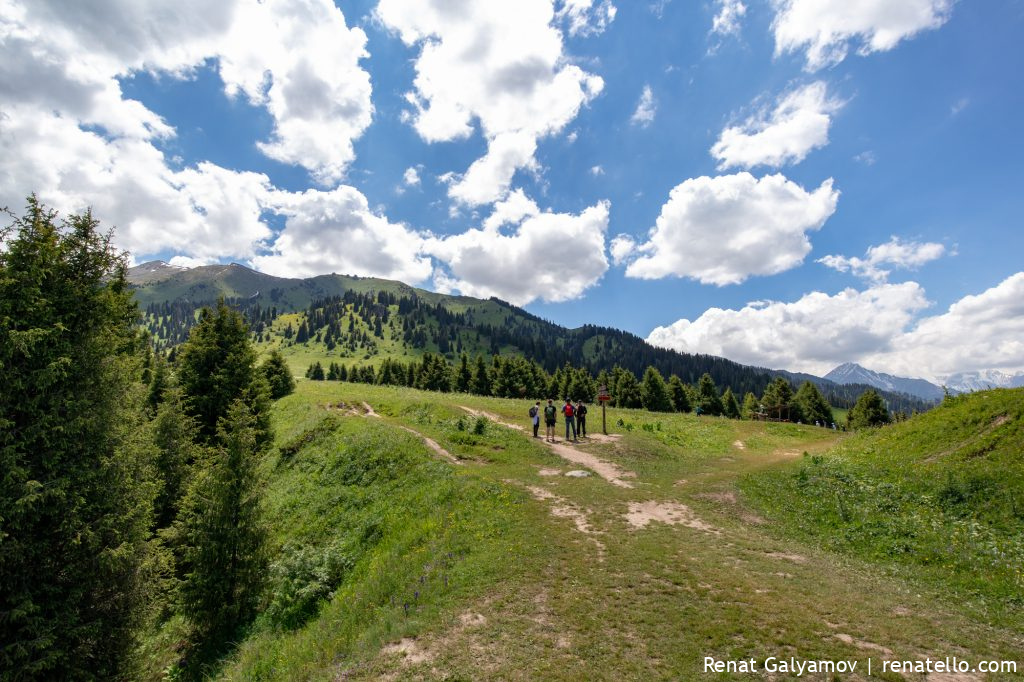 Kok-Zhailau photo plateau, pasture