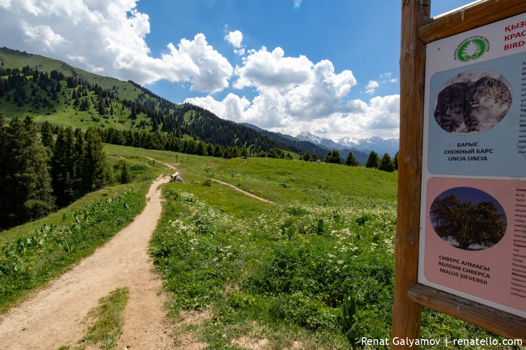 Trail on Kok-Zhailau towards Kubmel peak