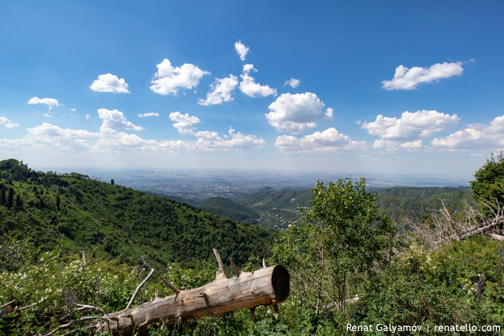 View of the city of Almaty